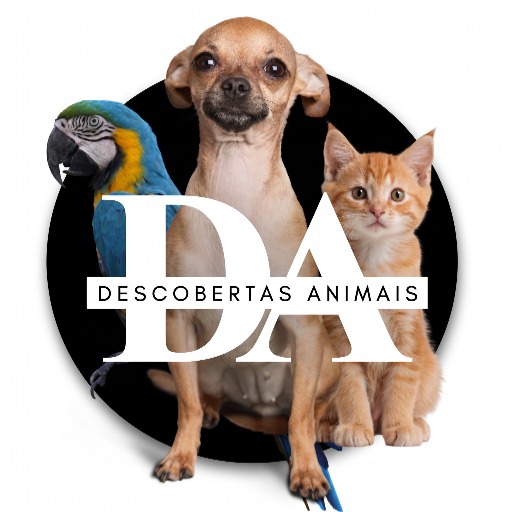 Avatar do Criador